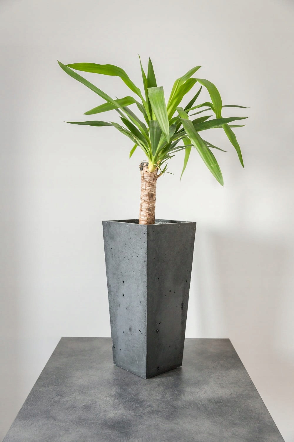 Architektonický betónový kvetináč CONE 24 × 32 × 63